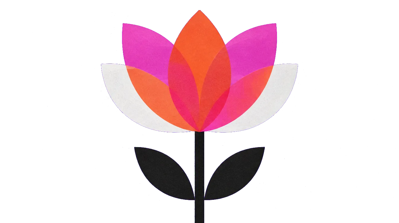 A flower of orange, pink and white petals opening on a black stem
